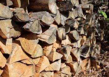 A stack of firewood