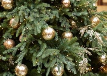 Card - Christmas Tree