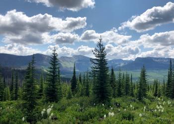 Skookum Butte Trail Vista