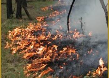 Fire