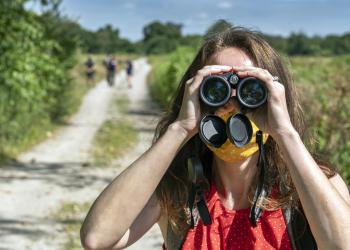 Spotlight: Self Guided Tours