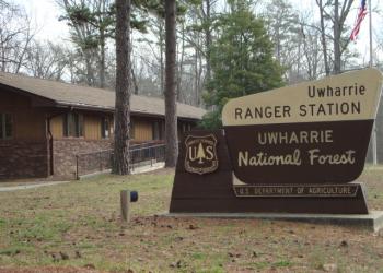 Uwharrie Ranger District Photo
