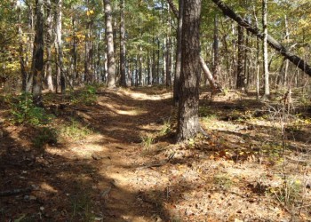 LOViT Homestead/Tompkins Bend loop trail segment