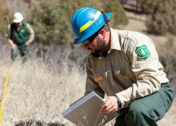 An employee in uniform studies grasses
