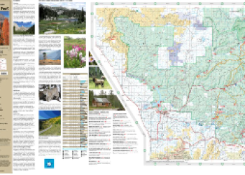 Image of online visitor map