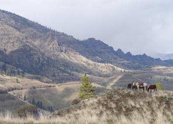 Hells Canyon Wz_400 pixel