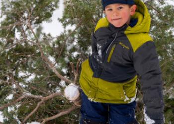 Free tree 4th graders