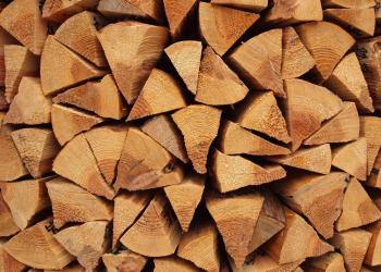 Cut and stacked firewood