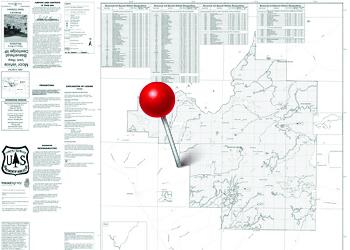 Black and white map with a red map pin.