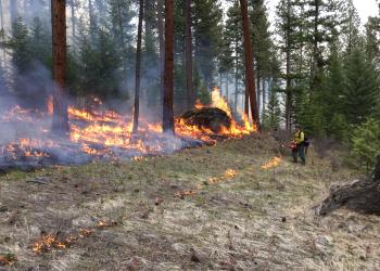 Firefighter carrying trip torch with fire in the background