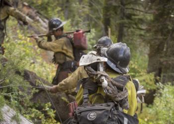 Wildland firefighters hiking in the forest with gear on