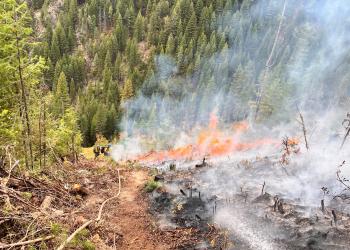 Firefighters downhill on a fireline during a prescribed fire