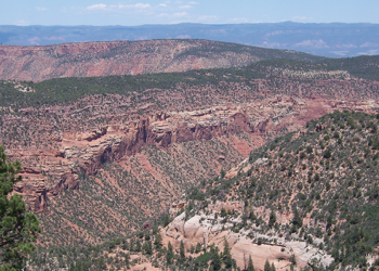 Scenic roadless area with red cliffs and vegetation