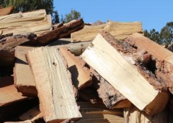 Firewood photo