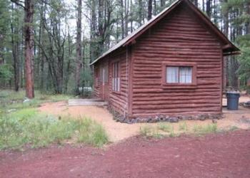 rustic cabin in woods
