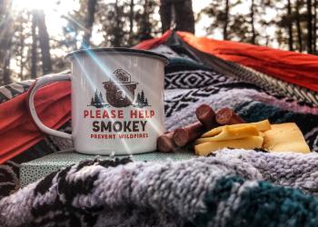 Camping Gear: Smokey Bear coffee mug in Forest