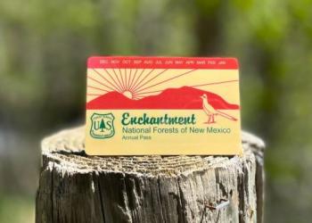 a Forest Service recreation pass on a tree stump