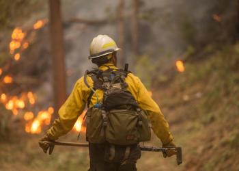 firefighter with axe entering forest area with fire