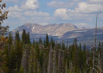 A large mountain in the background
