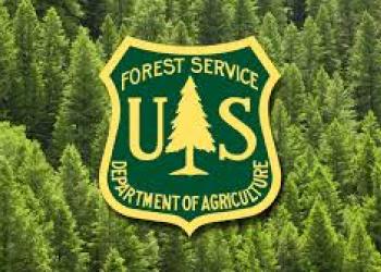 Forest Service Logo