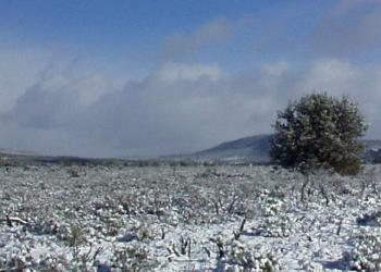 snow covering grasslands