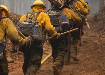 wildland firefighters walking away