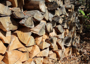 Stack of chopped Firewood