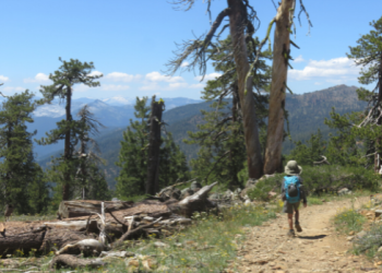 Hiker on Trail
