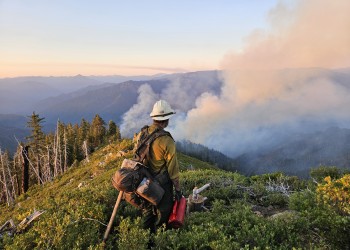 Firefighter looking out over Butler Fire