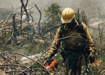 A wildland firefighter uses a drip torch to carry out a prescribed burn