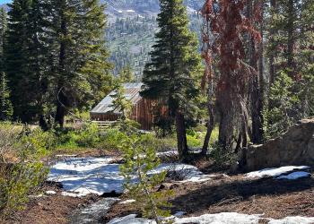 a cabin in the woods with snow on the ground