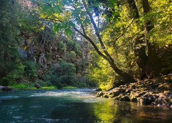 A river flowing through a canyon