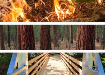 A picture that show fire on the top, and forest in the middle and a wooden bridge at the bottom.