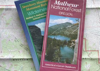 map brochures stacked on top of a forest map