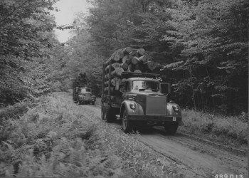 Log load of about 3000 feet. T. E. Hardes Lumber Company operating in National Forest timber. Allegheny National Forest, Pennsylvania. August 8, 1958.