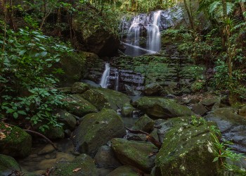 La Coca Trail Watershed
