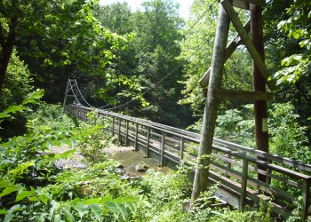 Wooden swinging bridge with creek below surrounded by lush deciduous trees.