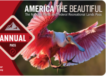 image shows front of Annual America the beautiful pass of large pink bird in flight