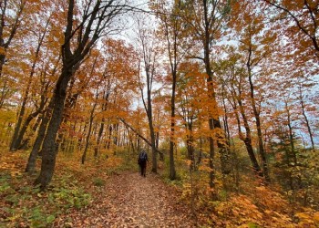 A hiker enjoys the fall color at Oberg Mountain on the Superior National Forest.