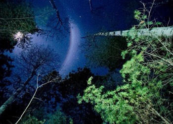 A view of the night sky in Boundary Waters Canoe Area Wilderness