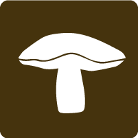 A placeholder image