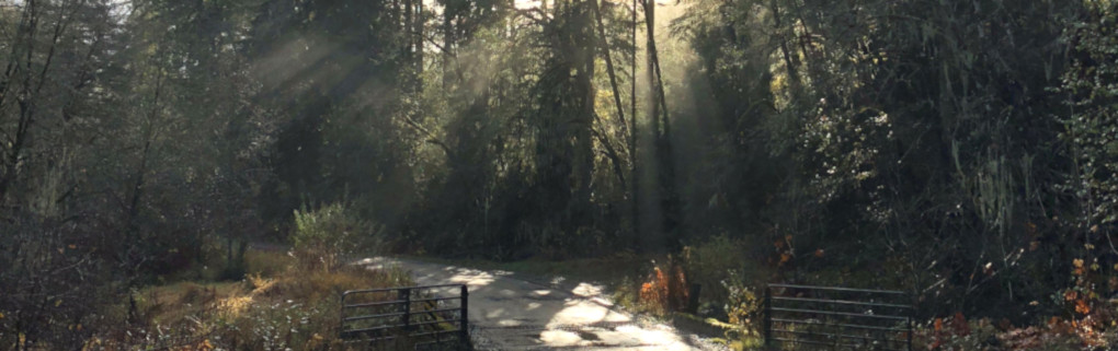 image of a road
