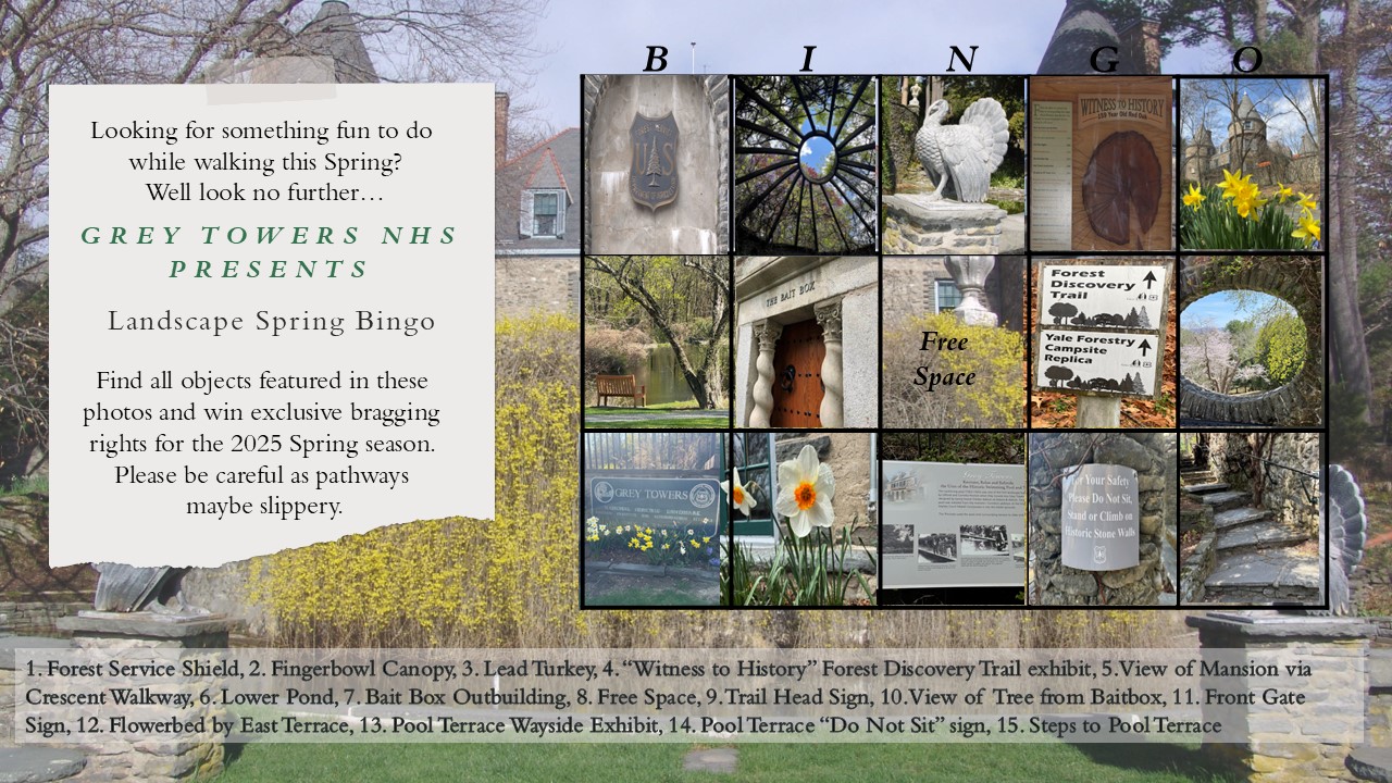 Spring Bingo