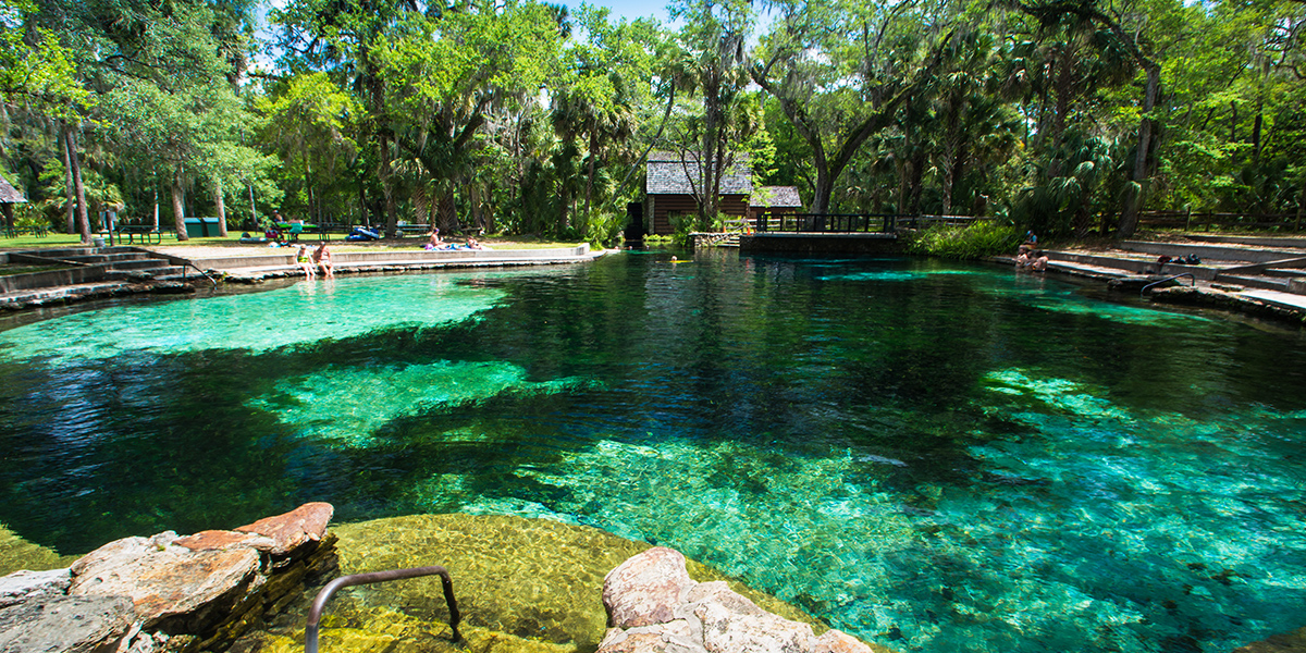 are dogs allowed at juniper springs