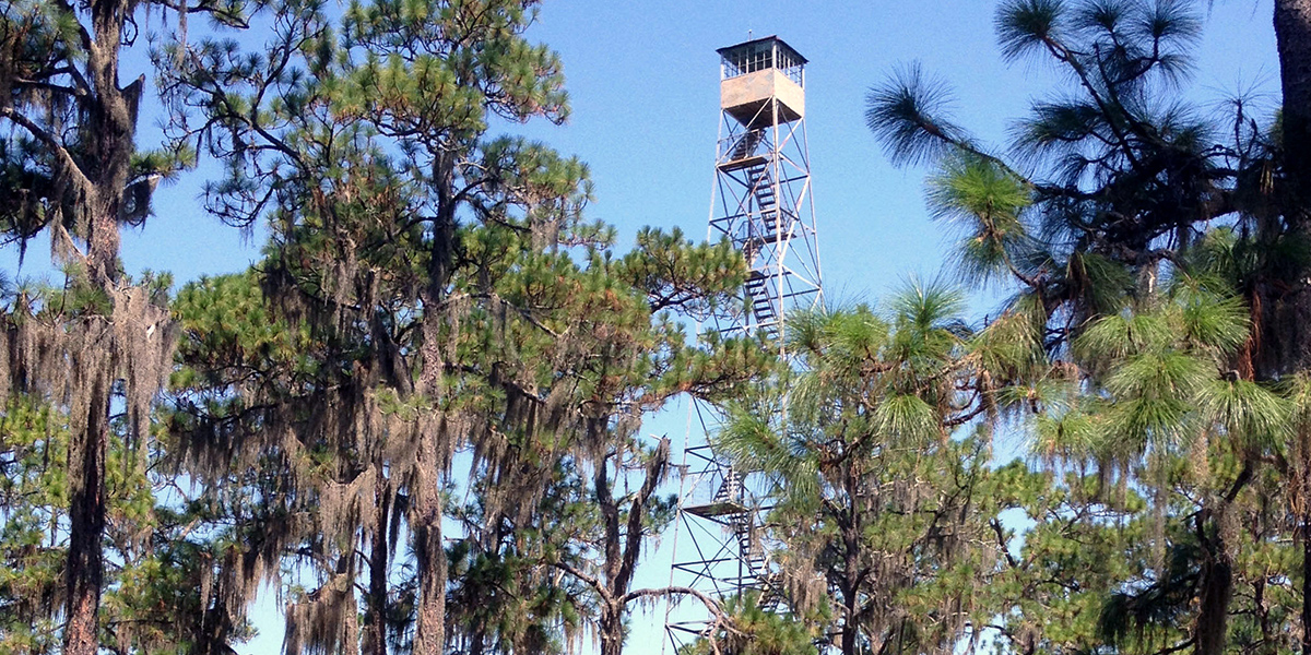 Looking for a place to hunt, camp at on the First Coast? Check out Ocean  Pond at Osceola State Park! 