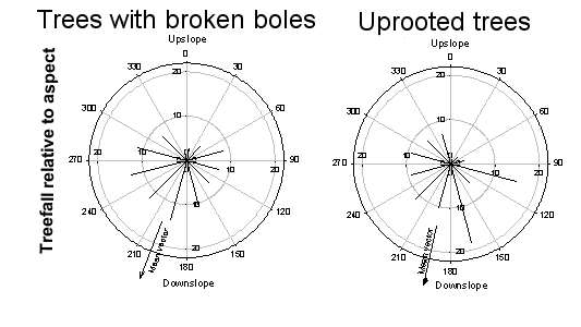 Tree Diameter Age Estimation Chart