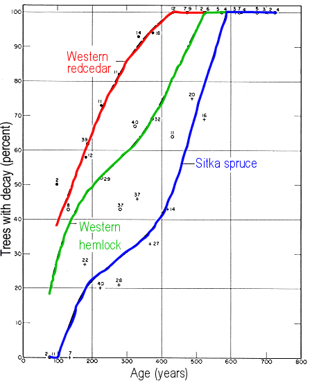 Tree Age Chart