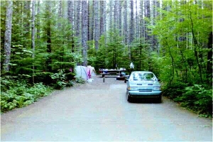 Picture of Lower Falls Recreation Area Campground