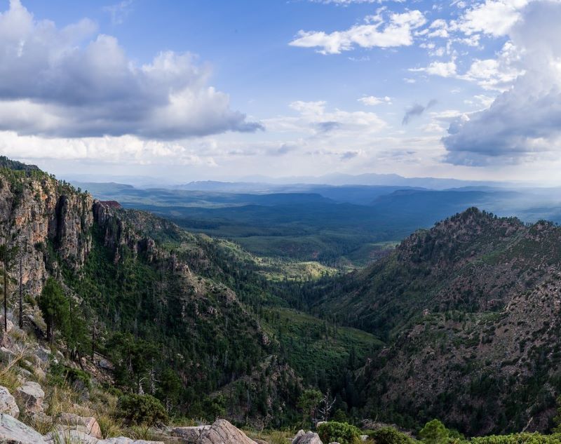 Wildlife of the Coconino National Forest - Owlcation