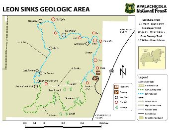 Apalachicola National Forest Leon Sinks Geological Area